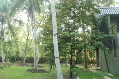 Elegant Hamlets Home Stay