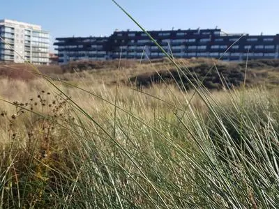 Apartment on Beach Near Town Center