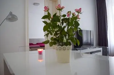 Modern apartment in Vienna near Danube