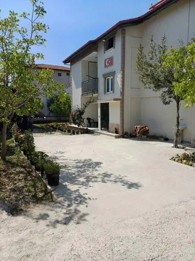 Olive House