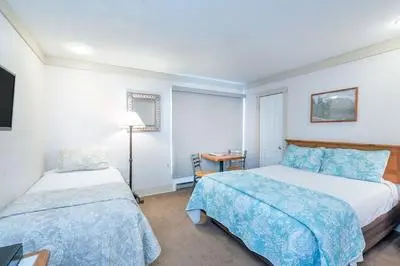 Mountainside Inn 415 1 Bedroom Hotel Room by Alpine Lodging Telluride