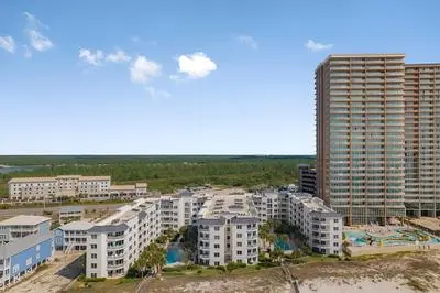 Palm Beach C23