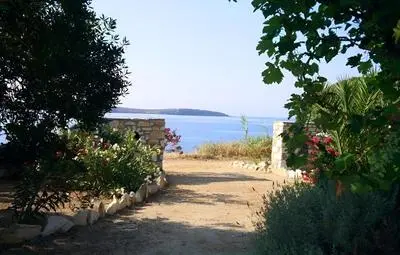 Blue & Sea Studios