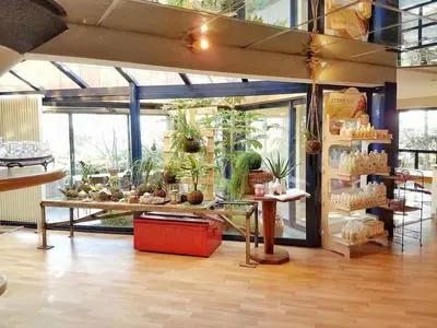 Casa Marta : Suites - Terrasses et vue Panoramique