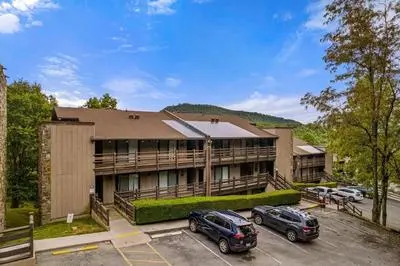 Bearadise Mountain Getaway