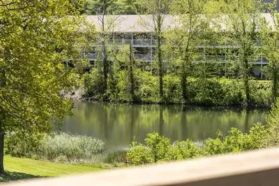 Escape to the Pond View Oasis - Resort Amenities