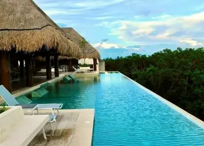 Condo With Amazing Jungle View Top Amenities