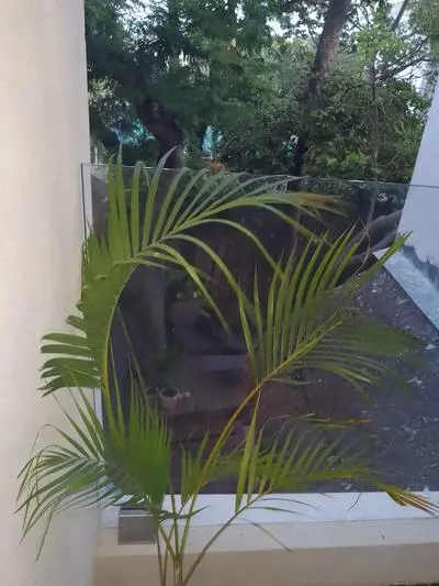 Dharmika Residence Boutique Hotel