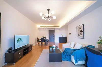 Tyms Family 1BR 1BA Apt Xujiahui
