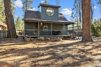 Forest Fir Cabin