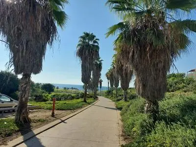 Jaffa Getaway