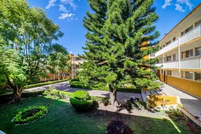 Colonia Residencial EN Tecnologico Y Zaragoza