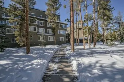 Pines 2116