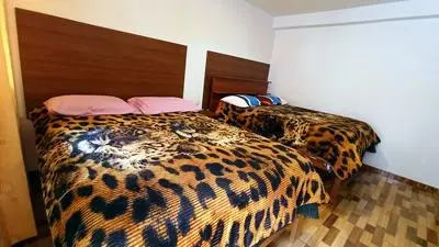 Hospedaje San Pedro II
