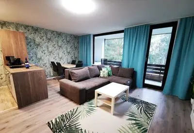 Apartment Near the ski Area in Winterberg