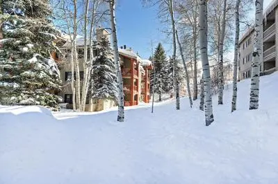 Snow Flower 011-studio Condo by RedAwning