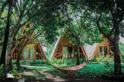 Triangle Palms Siargao