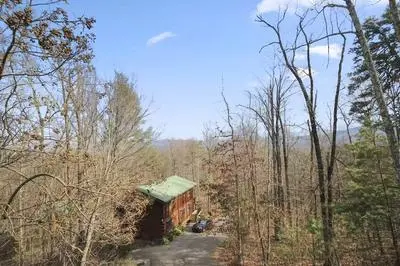 Smoky Treehouse Lodge #614