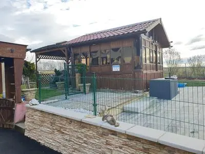 Chez Minnie