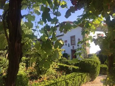 Lovely 6-bed Cottage in Braga Enjoy and Relax