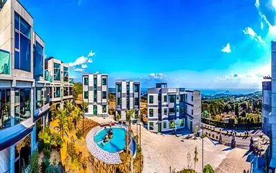 Comfy Studio Apartment At Margonda Residence 3