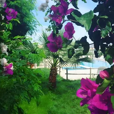 Bitez Marina Hotel