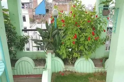 Himalayan Guest House