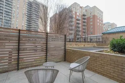 Stylish & Cozy Apartment in Ballston