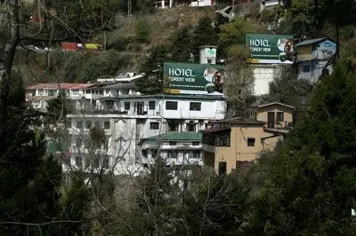 Hotel Forest View by DL Hotels