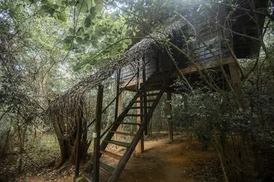Inn On The Tree Eco Resort Sigiriya